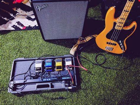 Essential Gear for Every Bass Player