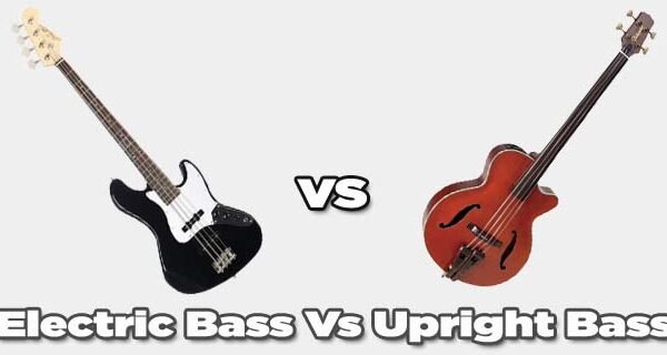 The Difference Between Electric and Upright Bass