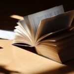 The Writing Process: From Idea to Finished Novel